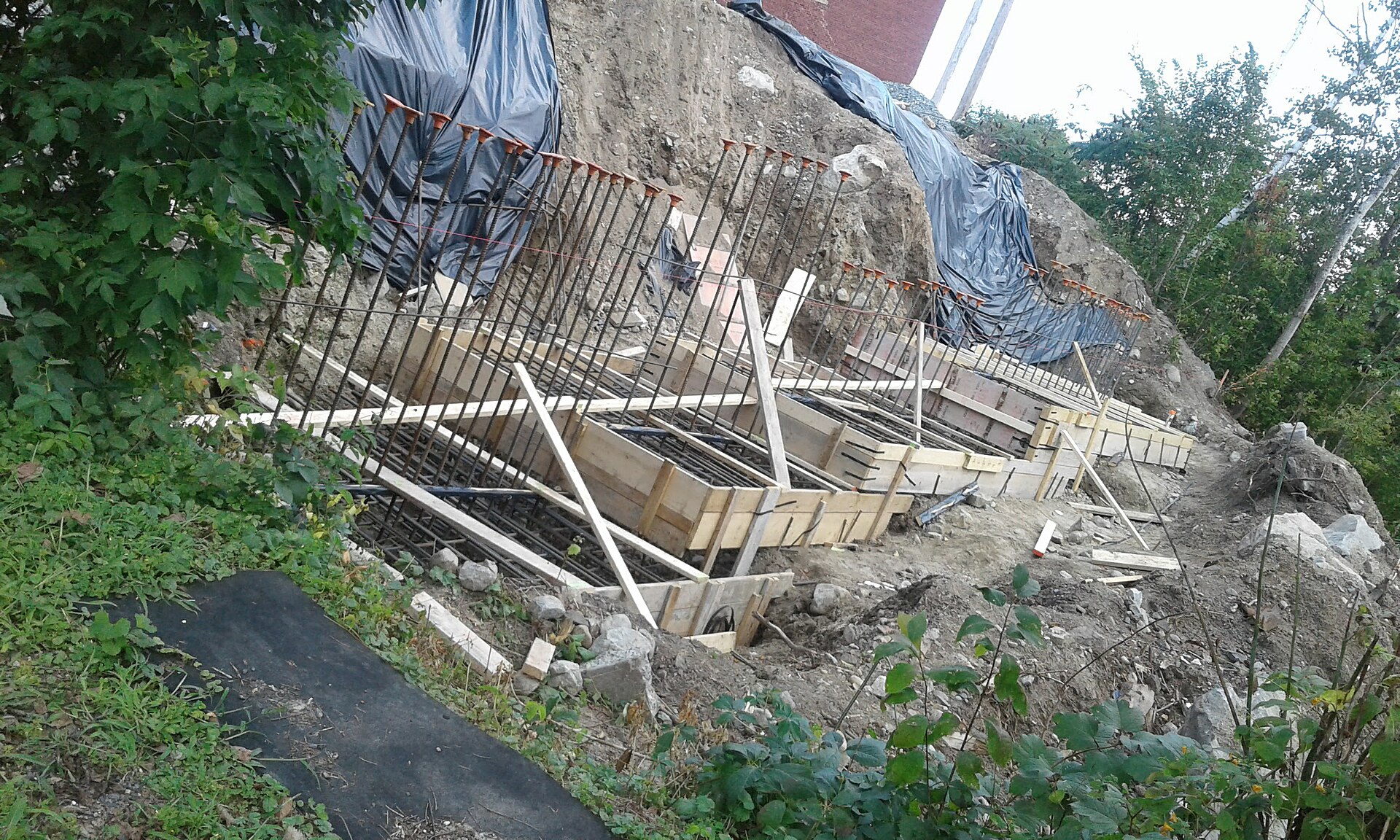 Early stage